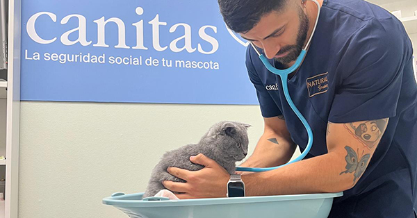 Canitas