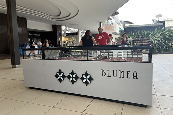 Blumea